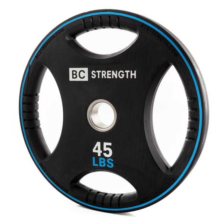 45lb Weight Plates (set of 2)
